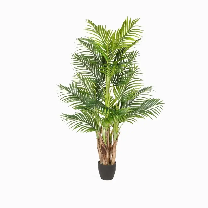 Пальма Арека Бетель высота 130 см